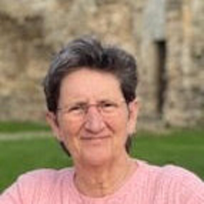 Portchester Castle - Cllr Chrissie Bainbridge
