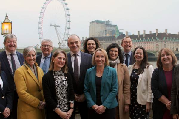 The Lib Dems' Westminster MPs